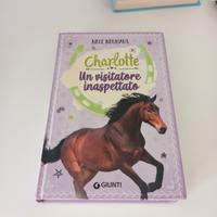 un visitatore inaspettato 