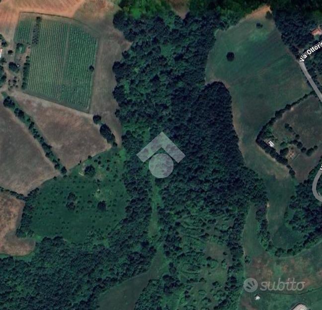 TER. AGRICOLO A ALBINEA - Altro