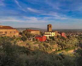 Oliveto con vista 2500 mq