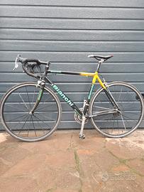 Bianchi xl ev2