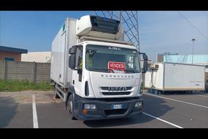 Iveco - frigo 