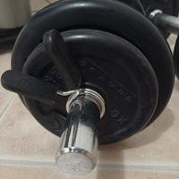 2 Manubri Domyos  con dischi