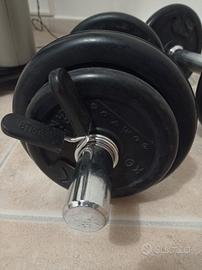 2 Manubri Domyos  con dischi