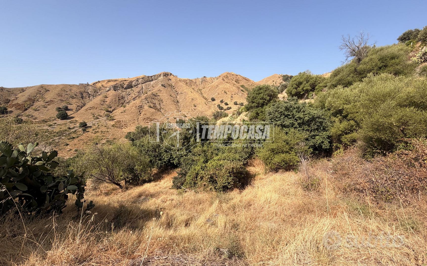 TERRENO AGRICOLO SCOSCESO A ROCCALUMERA - Vista 3