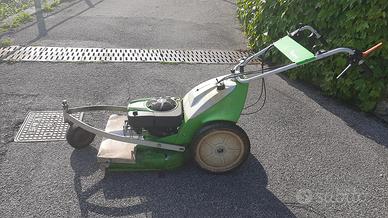 Tagliaerba viking RB 6 RV