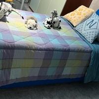 Letto singolo a cassettone