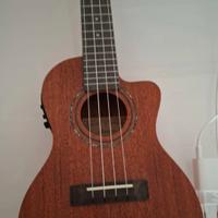 ukulele Alvarez nuovo 
