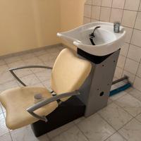 Lavatesta professionale singolo