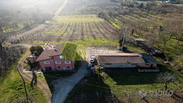 Terreno di 11 ha con casale 500 mq |TR299