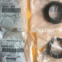 Paraoli kawasaki z750