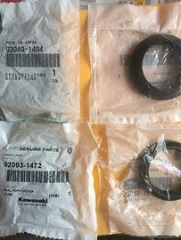 Paraoli kawasaki z750