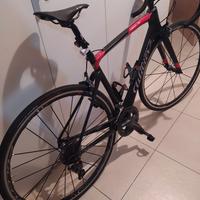 Wilier 101 ndr