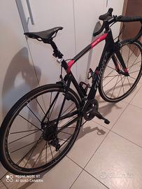 Wilier 101 ndr