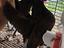 Immagine 6