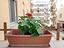 Immagine 21