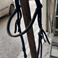 varie briglie /testiere x minitrotter 