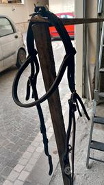 varie briglie /testiere x minitrotter 