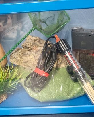 acquario aperto completo