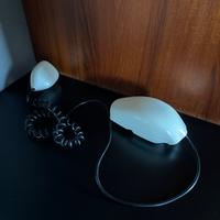 Telefono grillo