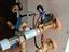 Immagine 3