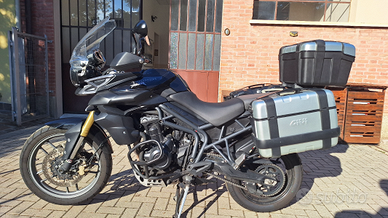 Triumph Tiger 800