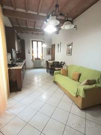 Villa o villino Castelfiorentino [1/0227VRG]