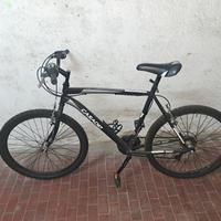 bicicletta casadei