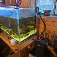 Acquario 300 litri