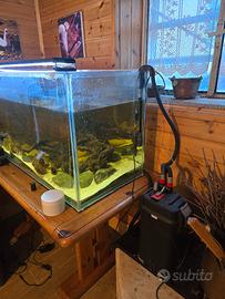 Acquario 300 litri