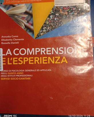 La comprensione e l'esperienza quinto anno
