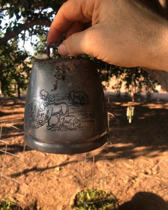 Campanaccio 🔔… / Cow Bell