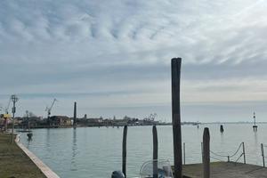 Open Yamarin 56CC con Yamaha F100 LB 2023