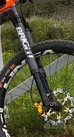 Forcella bright Next  f929