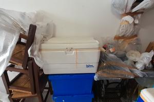 Frigo da barca o campeggio igloo