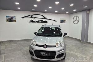Fiat Panda 2014 1.2 Benzina