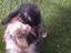 Immagine 6