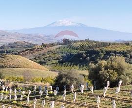 Terreno - Caltagirone