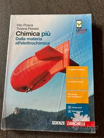 CHIMICA PIU’ DELLA MATERIA ALL’ELETTROCHIMICA