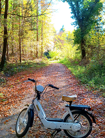 Piaggio Ciao Teen 50