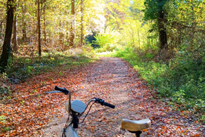 Piaggio Ciao Teen 50