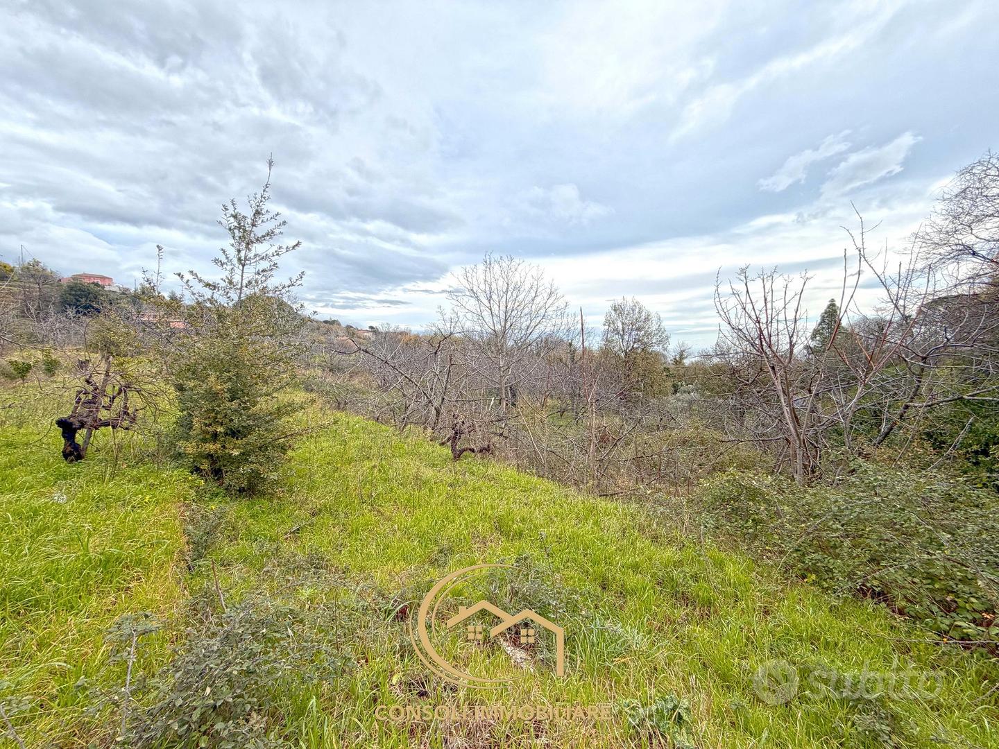 Rustico con terreno - Vista 2