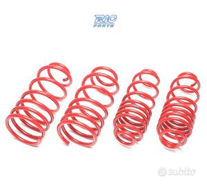 KIT MOLLE SPORTIVI PER ROVER