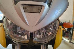 Yamaha TDM 900 - 2002