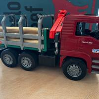 Camion man con tronchi