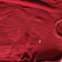 maglione in cotone della Lacoste tg 5 