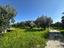 Immagine 11