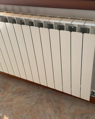 Termosifoni in acciaio