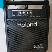 Roland PM 10