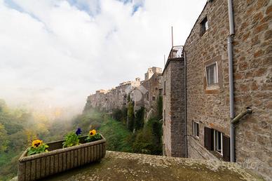 2 LOCALI A VITORCHIANO