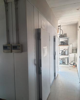 CELLA FRIGO PROFESSIONALE 